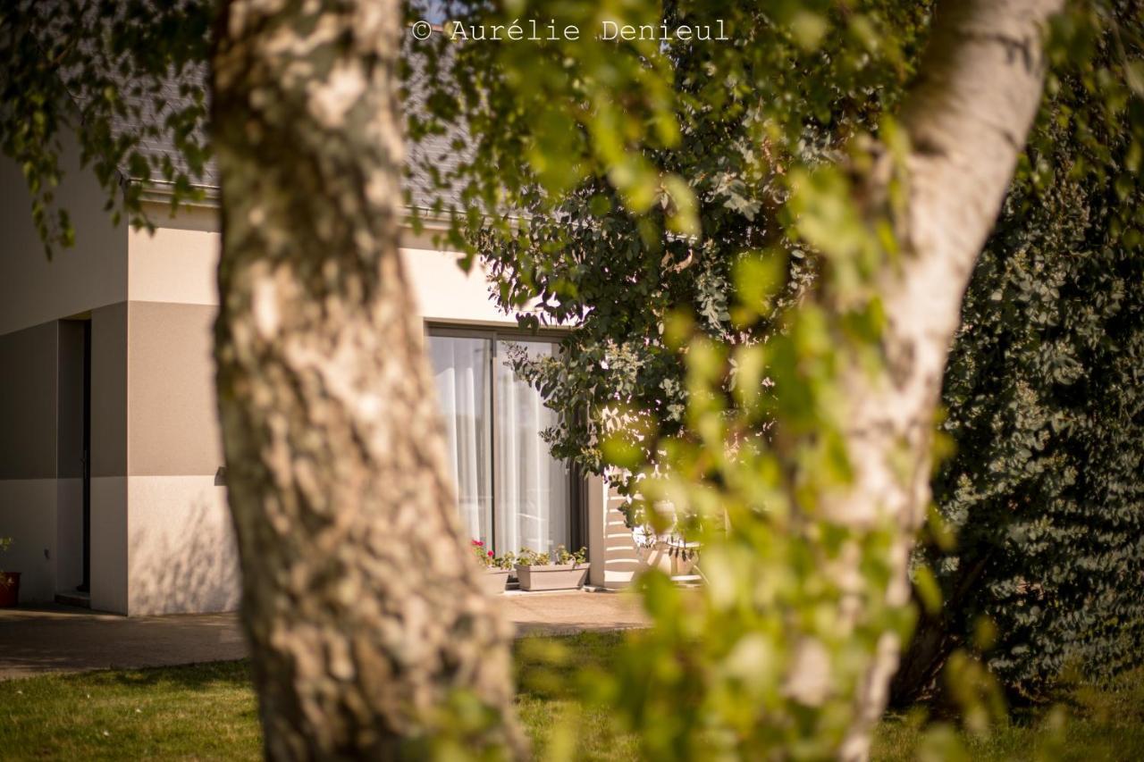 Maison A 800M De La Plage Saint-Lunaire Dış mekan fotoğraf